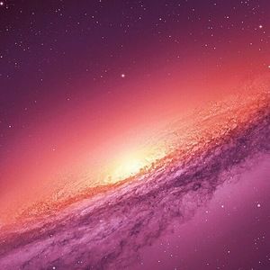 Meet your Posher, Jonah